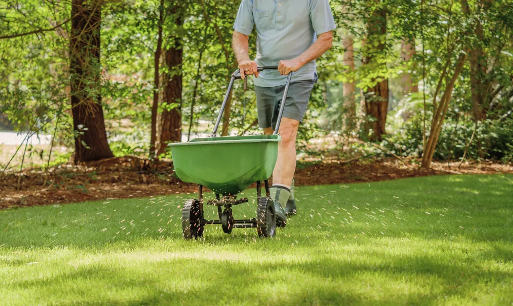 How To Guide How To Fertilise Your Lawn In Spring