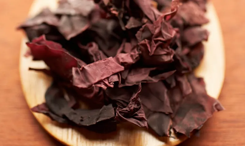 Red Dulce Seaweed in its dried form