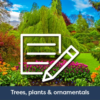 Trees, Plants & Ornamentals