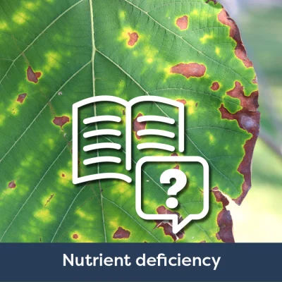 Nutrient Deficiency