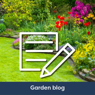 Gardening Blog