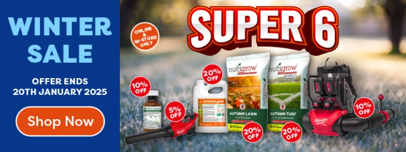 Winter sale - super 6 discount offers