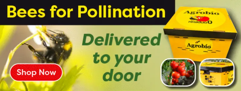 Bees for Pollination