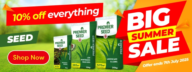 10 percent off seed