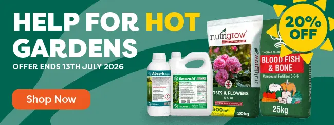 Help your garden during a heatwave