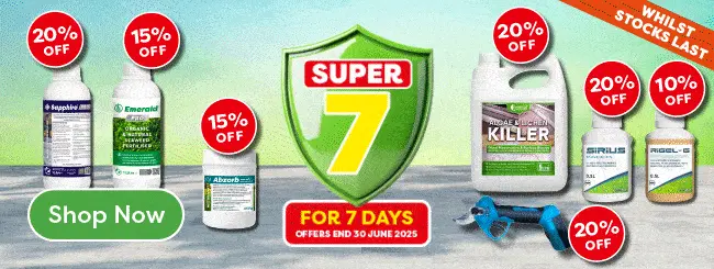 Super 7 for 7 days offers