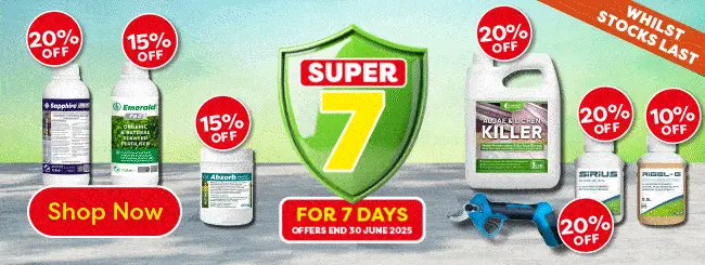 Super 7 for 7 days offers