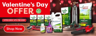 Valentine offer up to 10 percent off selected products