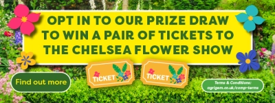 Chelsea flower show competition chance to win x 2 tickets
