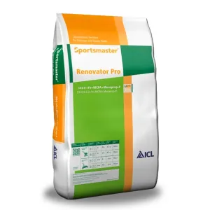 Sportsmaster Renovator Pro 25kg 