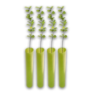 Treebio Wrap Guard - Pack of 4