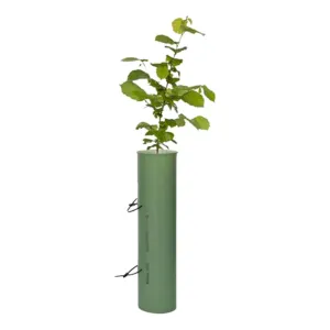 Tubex Shrub Shelter - Pack Of 4