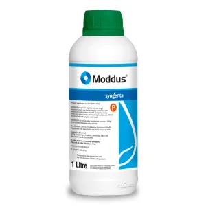 Moddus 1L