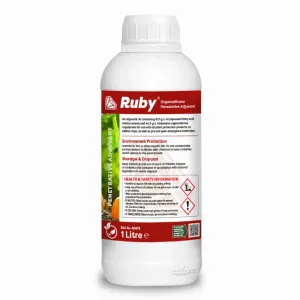 Ruby 1L