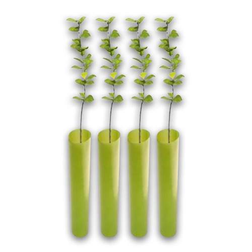 Treebio Spiral Guard