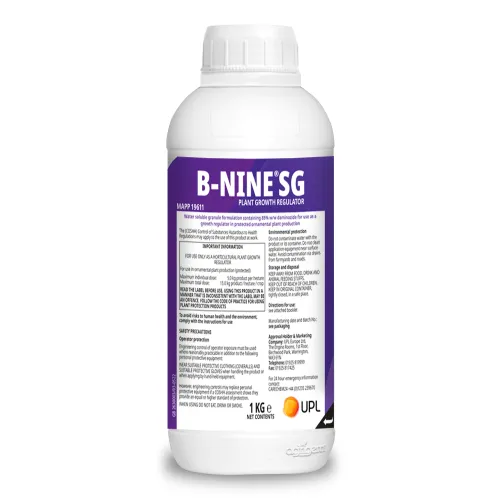 B-Nine 1kg