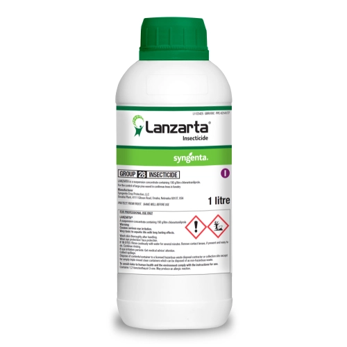 Lanzarta 1L