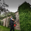 Milwaukee M18 Fuel Extended Pole Hedge Trimmer 267cm - Bare Unit - in situ Milwaukee M18 Fuel Extended Pole Hedge Trimmer 267cm - Bare Unit - in situ